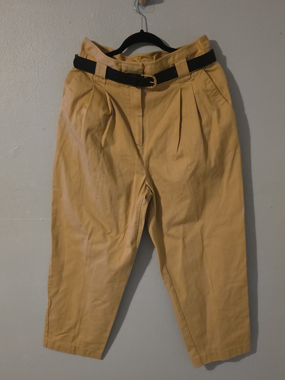 Pleated Barrell Pants in Tan with Belt Size 10